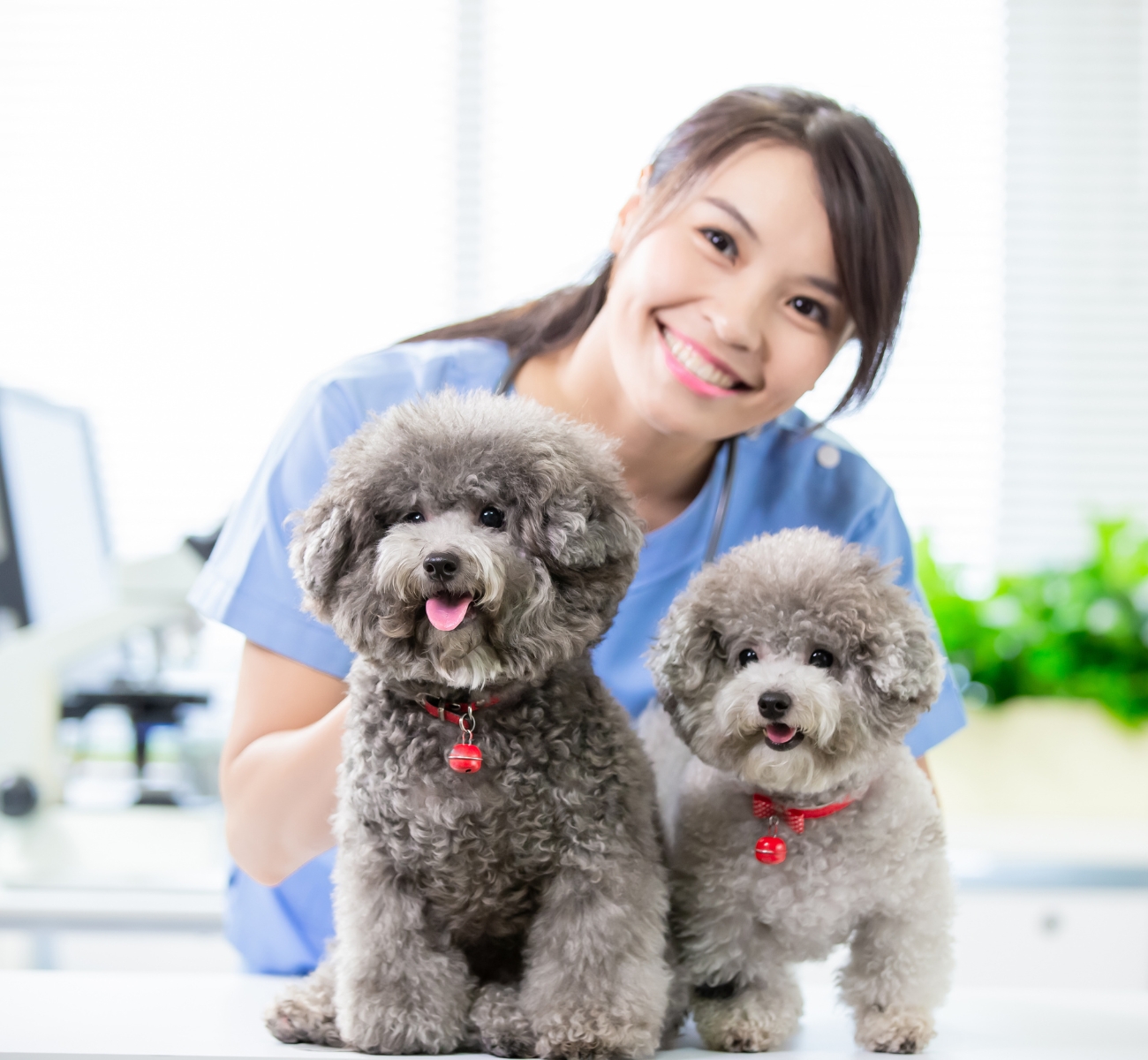 Veterinary